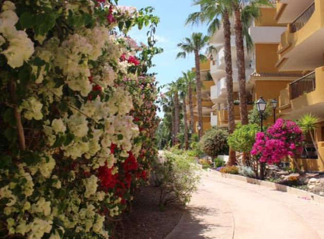 Resale - Apartment - Punta Prima - panorama park