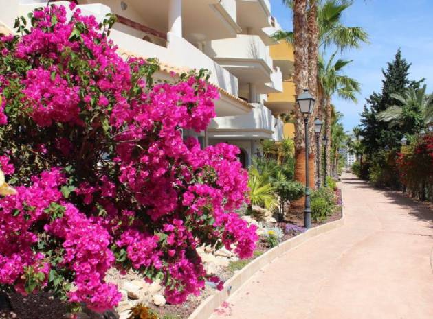 Resale - Apartment - Punta Prima - panorama park