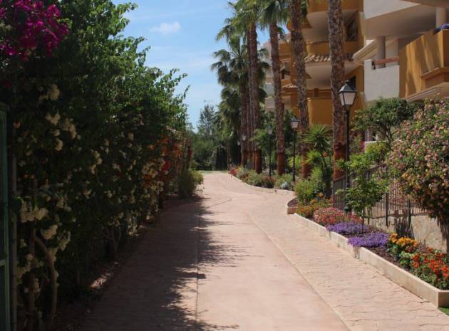 Resale - Apartment - Punta Prima - panorama park