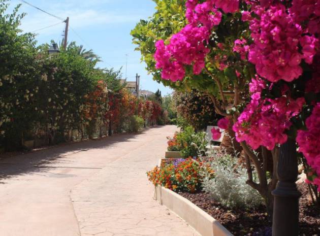 Resale - Apartment - Punta Prima - panorama park