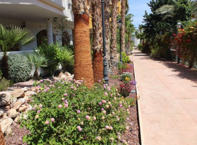 Resale - Apartment - Punta Prima - panorama park