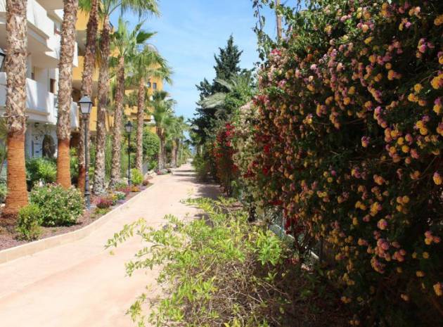 Resale - Apartment - Punta Prima - panorama park