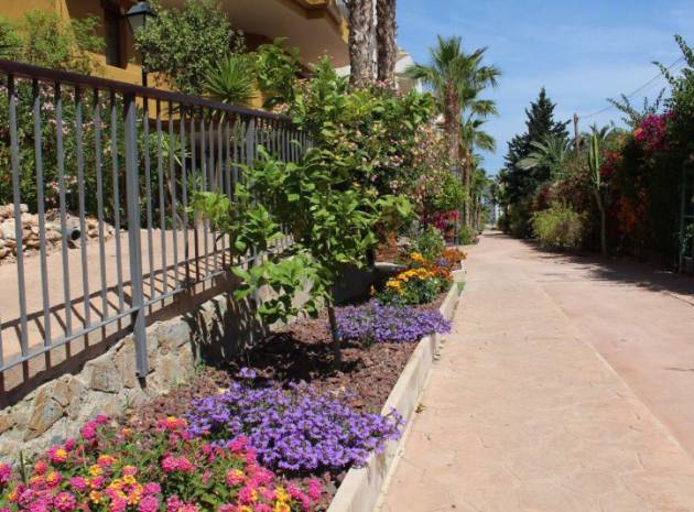 Resale - Apartment - Punta Prima - panorama park