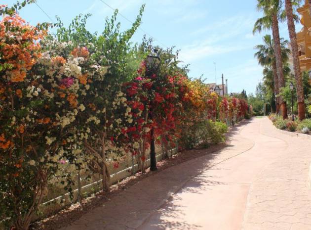 Resale - Apartment - Punta Prima - panorama park