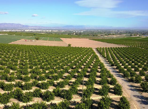 Resale - Villa - Almoradi - lomas de la juliana