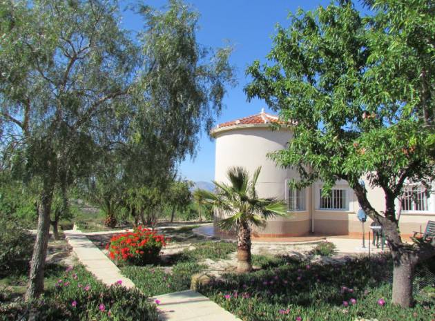 Revente - Country Property - Torremendo - torremendo