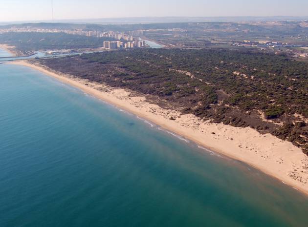 New Build - Villa - Almoradi - Costa Blanca South