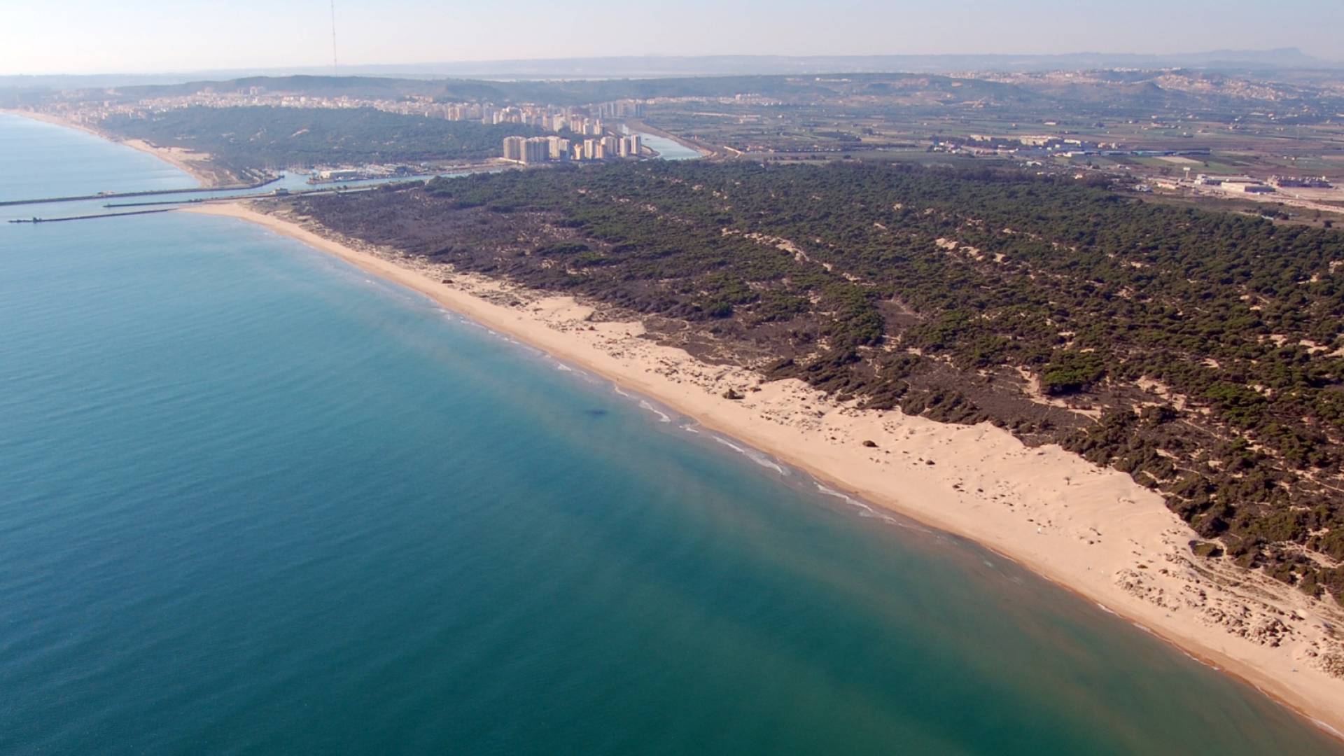 New Build - Villa - Almoradi - Costa Blanca South