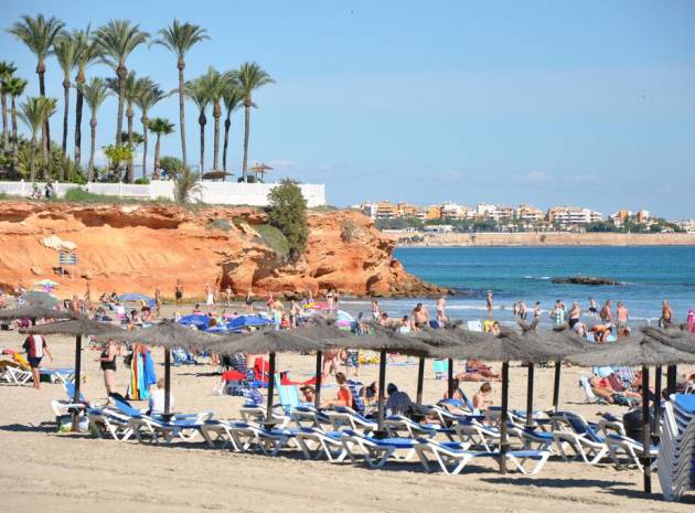 New Build - Villa - Villamartin