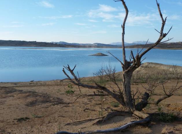 Resale - Villa - San Miguel de Salinas - Lake View Mansions