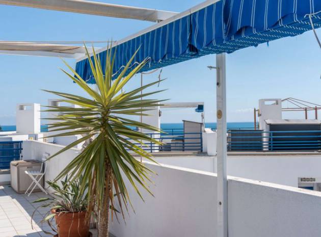 Resale - Apartment - Playa Flamenca - las terrazas