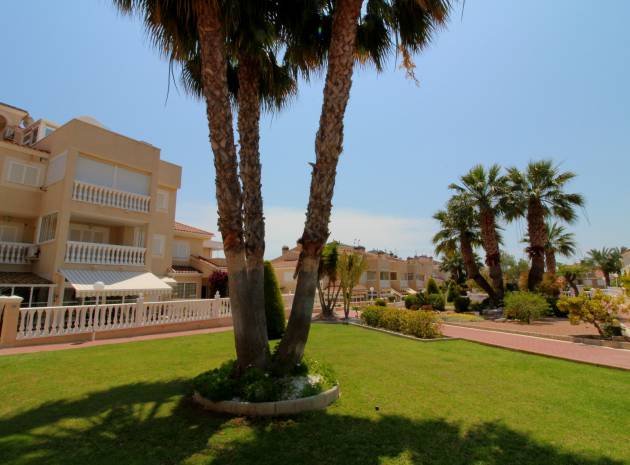 Wederverkoop - Appartement - Playa Flamenca - zeniamar