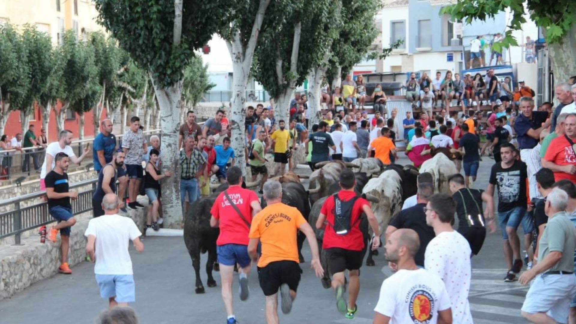 New Build - Villa - Los Montesinos - La Herrada