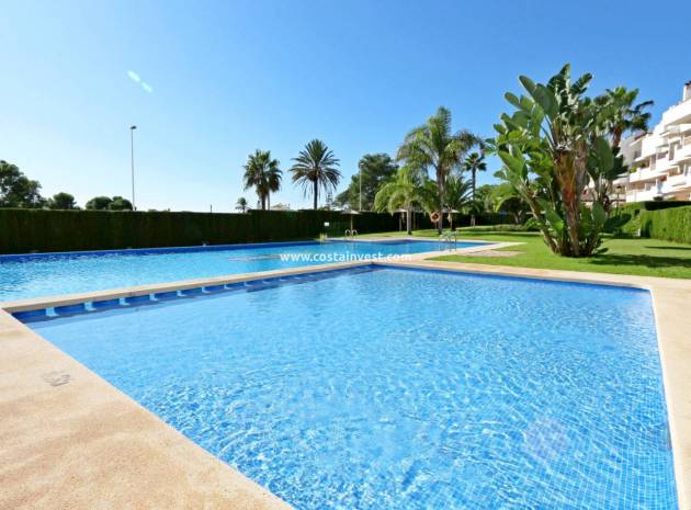 Resale - Apartment - Villamartin - Los Dolses