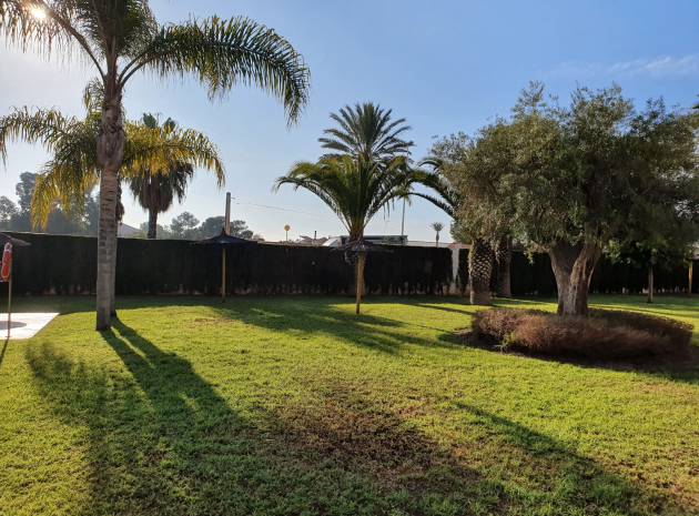 Resale - Apartment - Villamartin - Los Dolses