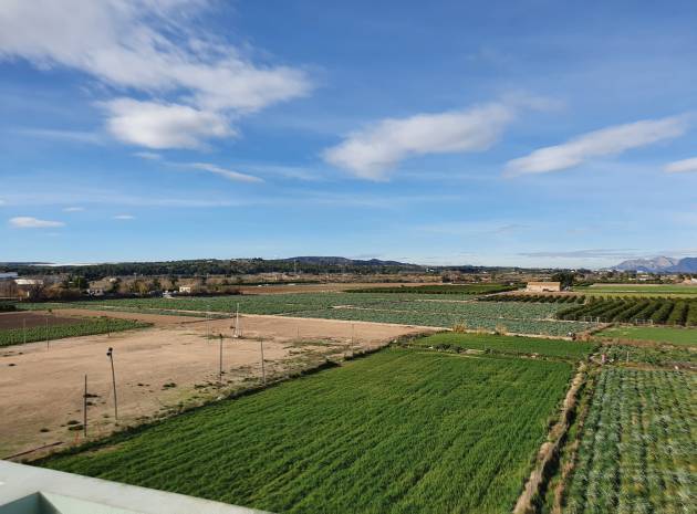 Resale - Apartment - Formentera del Segura - edificio picasso