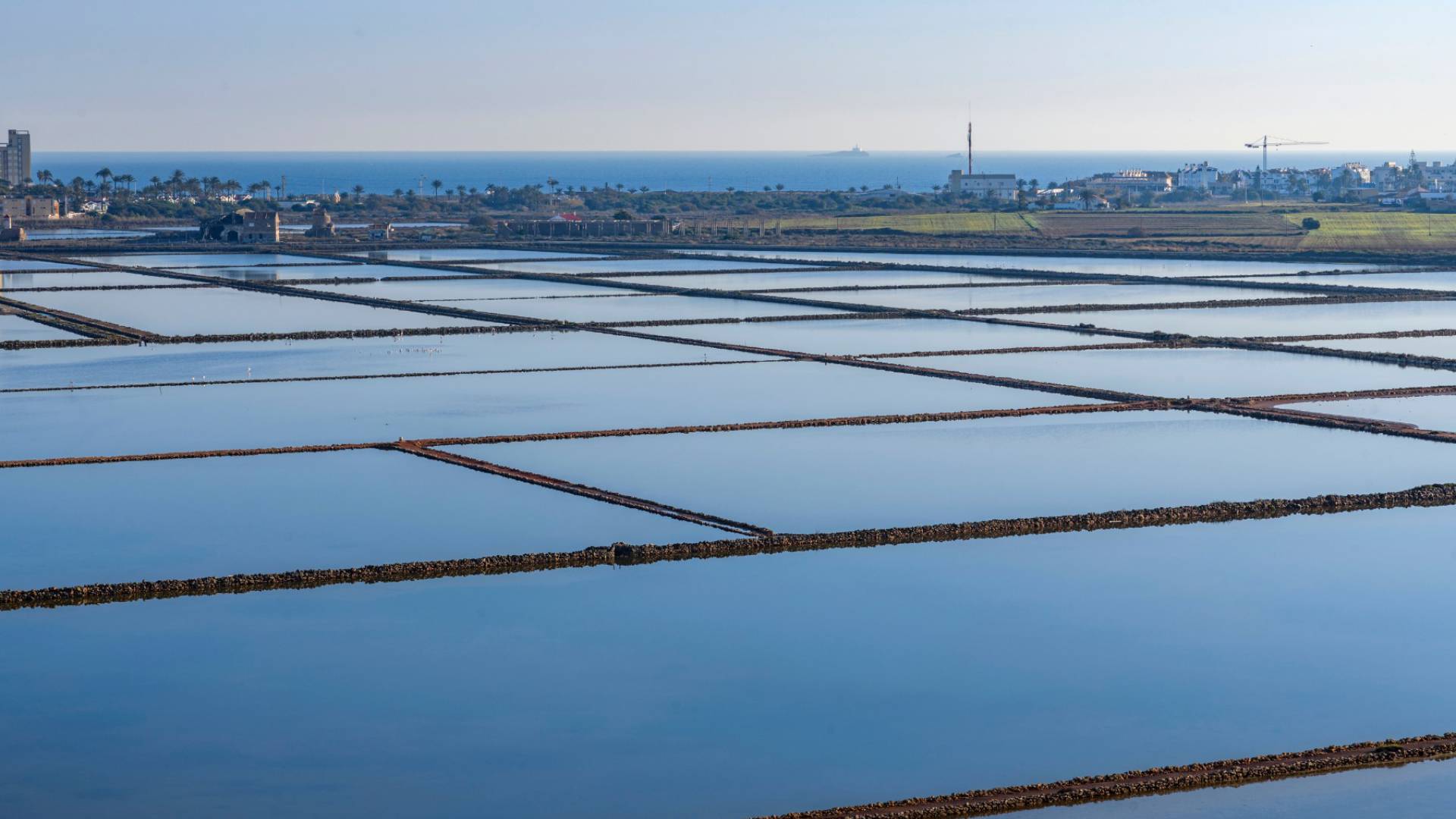 New Build - Apartment - La Manga - Playa Honda