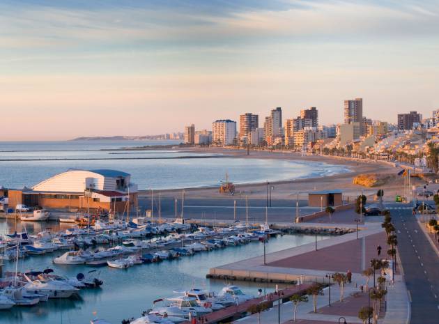 Nieuw gebouw - Villa - El Campello