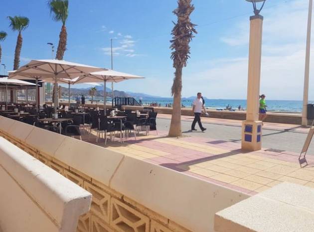 Nieuw gebouw - Villa - El Campello