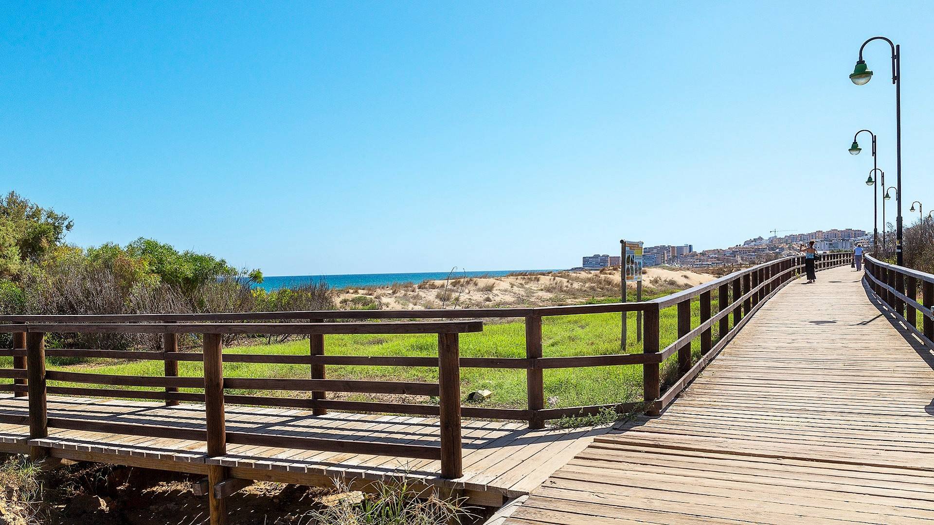 New Build - Villa - Torrevieja - Torrelamata - La Mata