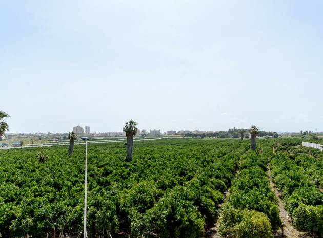 Nouvelle construction - Maison de ville - Torrevieja - Los Balcones