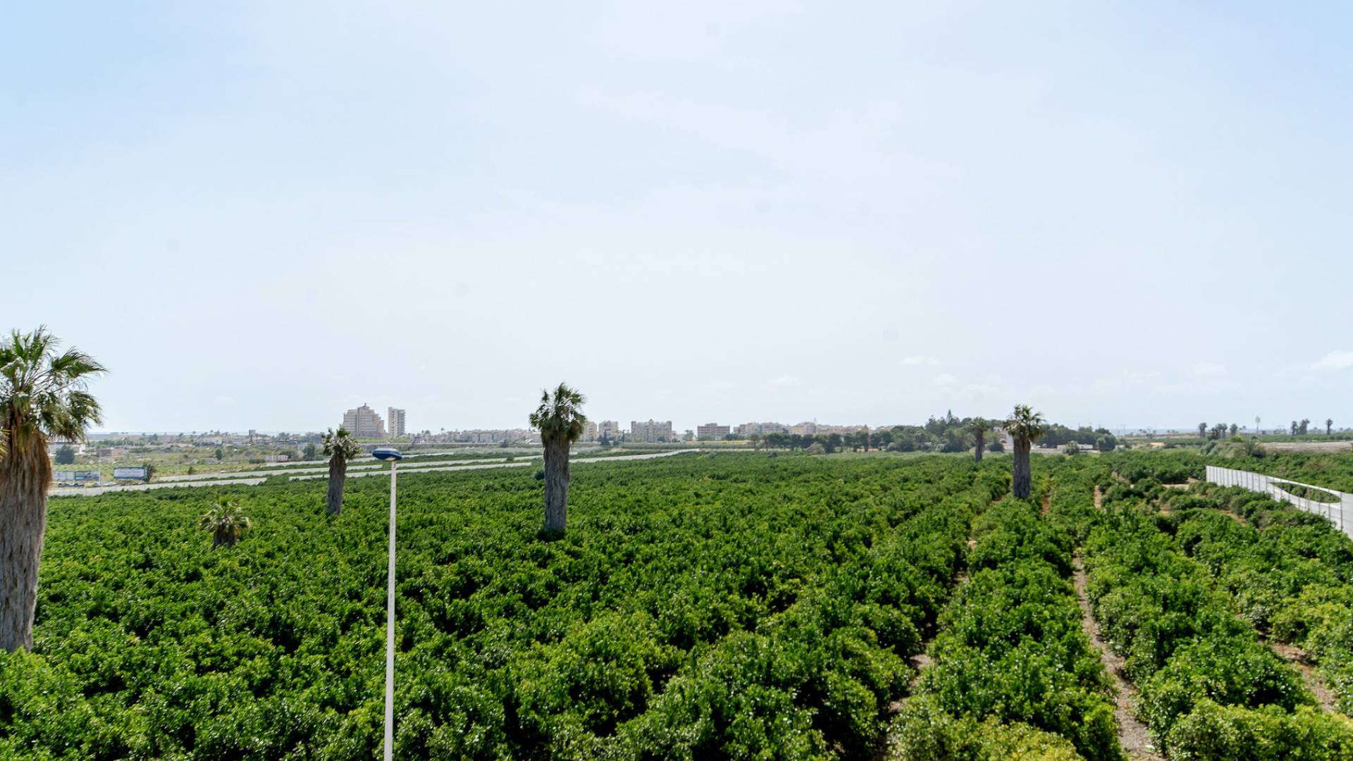 Nouvelle construction - Maison de ville - Torrevieja - Los Balcones