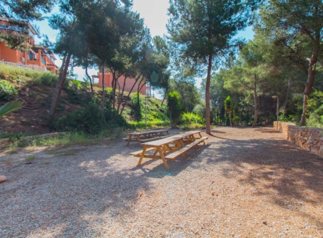 Återförsäljning - Lägenhet - Playa Flamenca - parque del duque