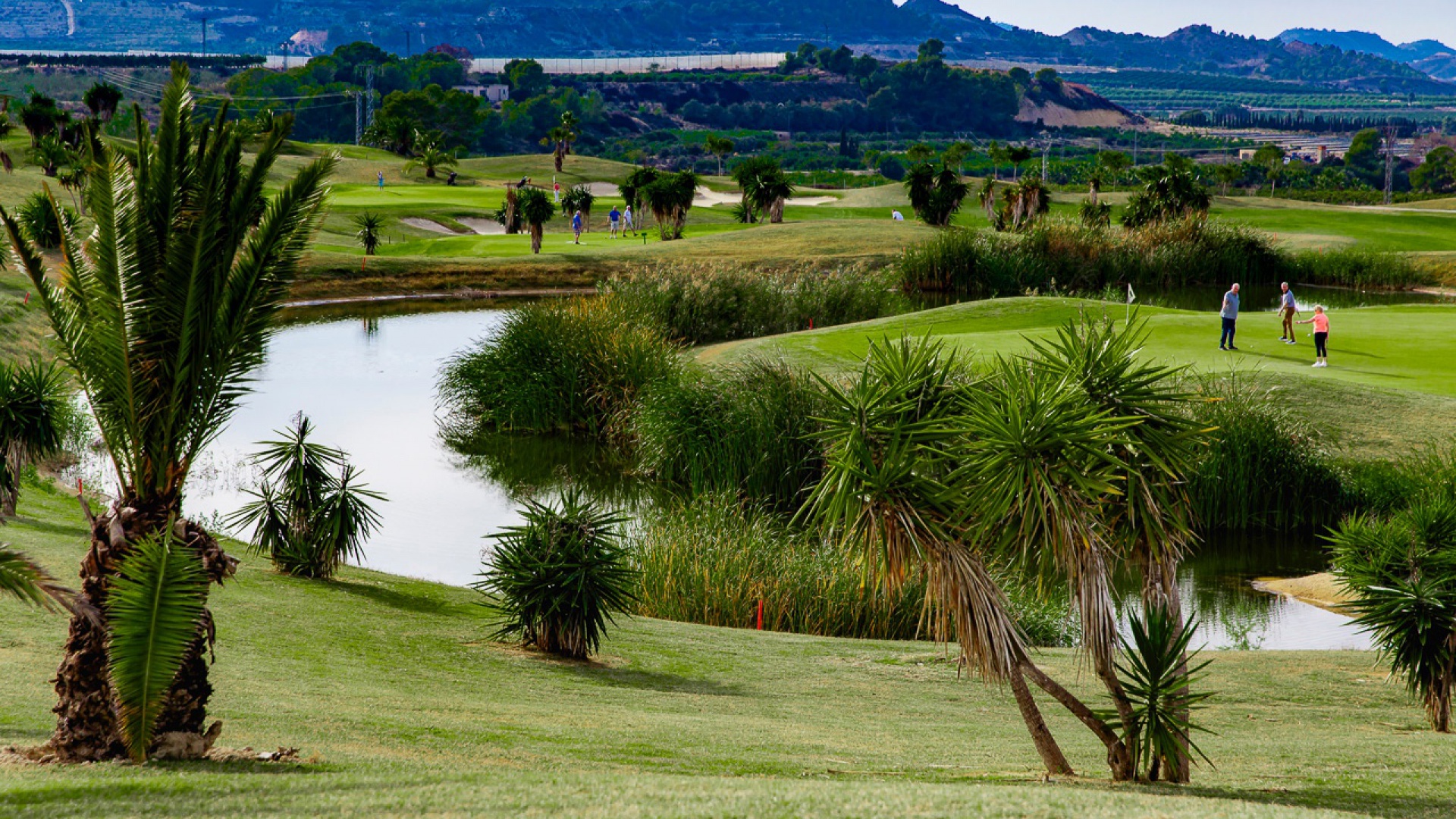 New Build - Villa - San Miguel de Salinas - Vistabella golf resort