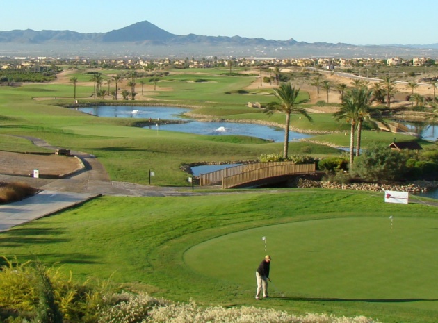 Nybyggnad - Villa - Daya Nueva