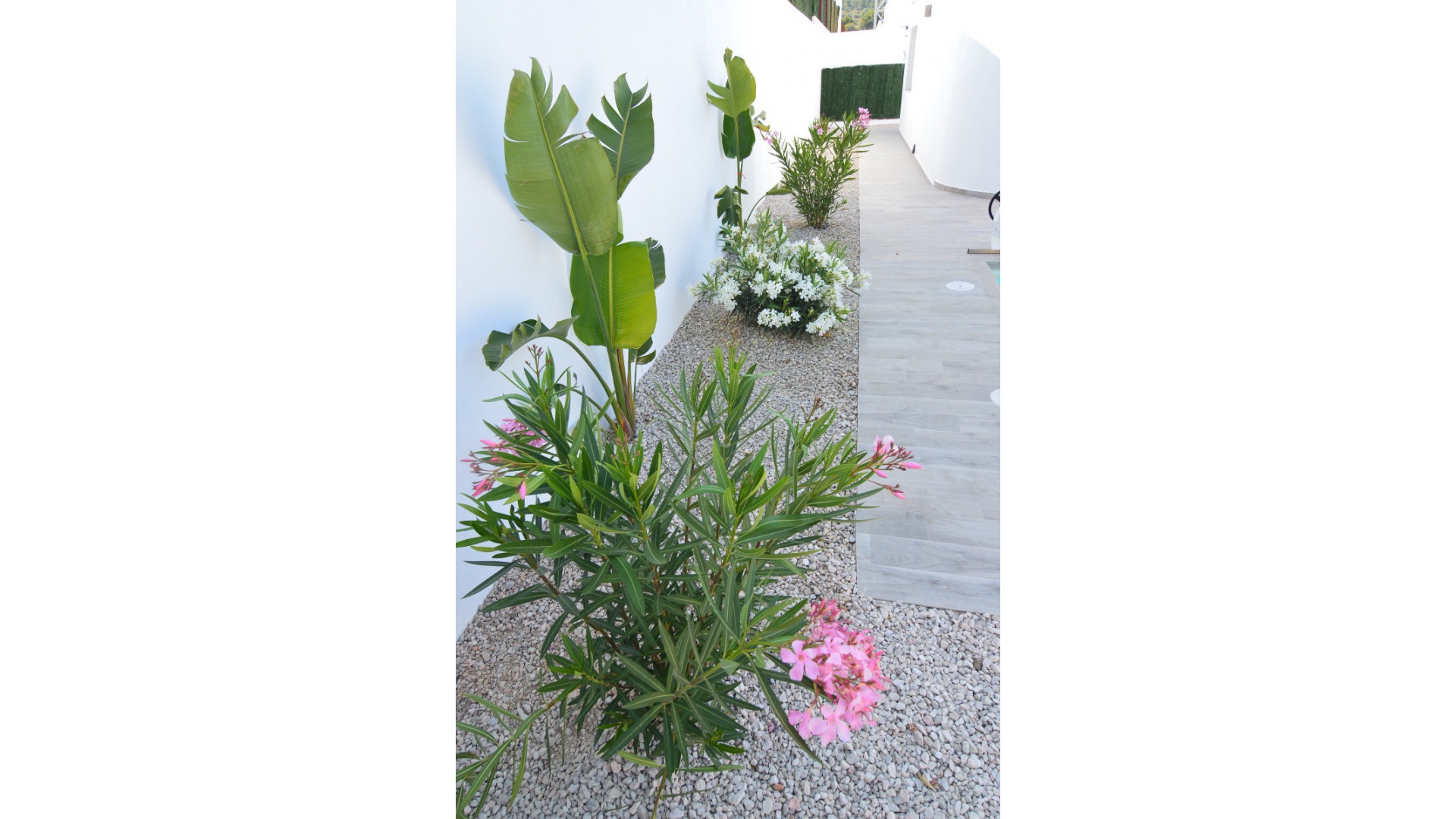 Nybyggnad - Villa - Polop