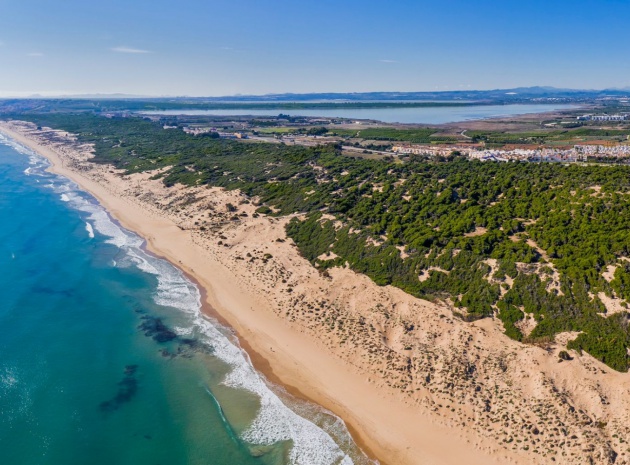 New Build - Villa - Guardamar del Segura - El Moncayo