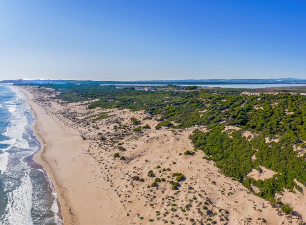 New Build - Villa - Guardamar del Segura - El Moncayo