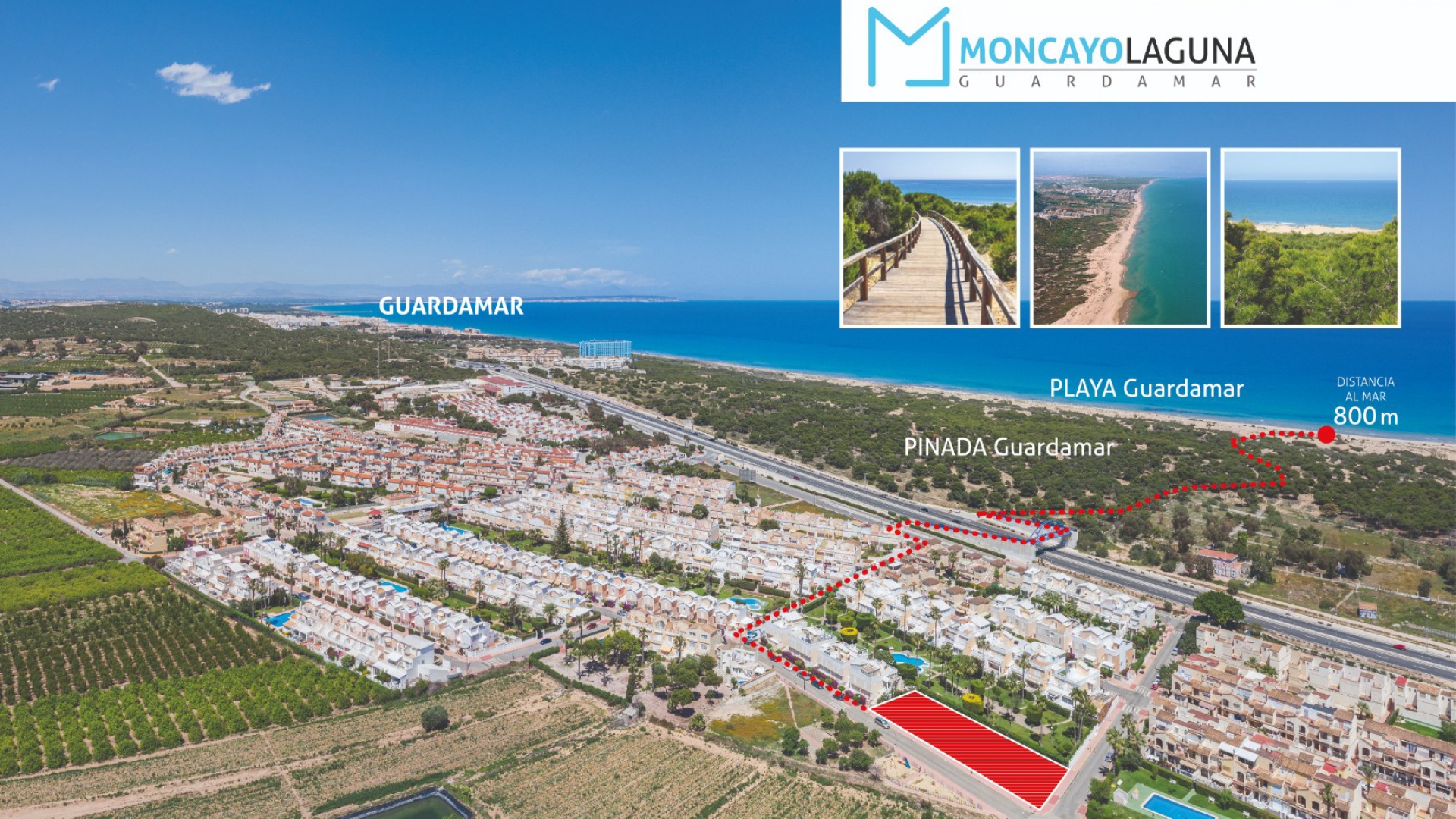 New Build - Villa - Guardamar del Segura - El Moncayo