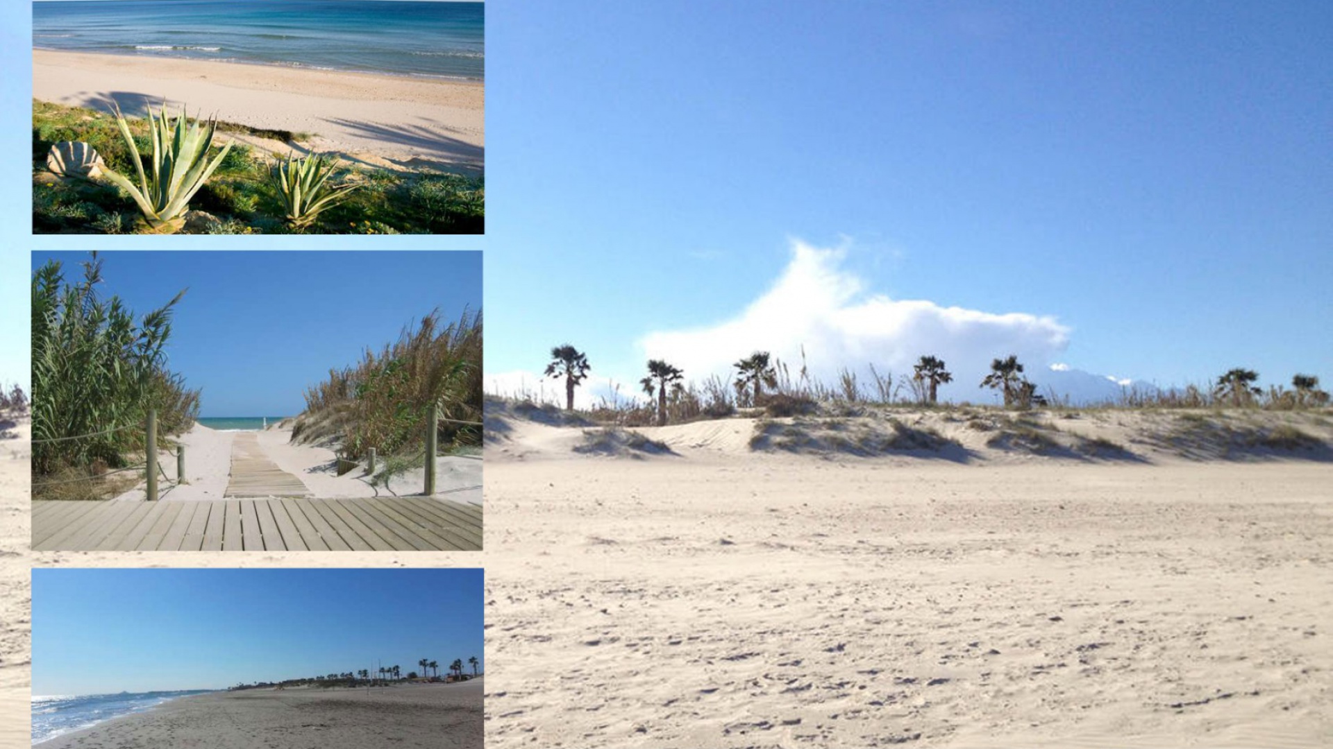 Nybyggnad - Lägenhet - Torre de la Horadada - El Mojon