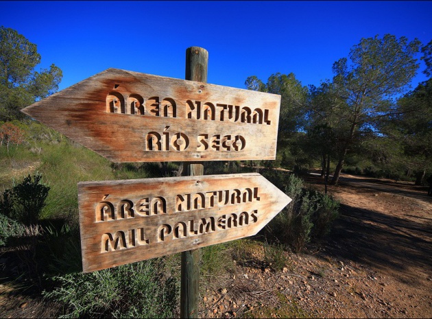 New Build - Villa - Pinar de Campoverde