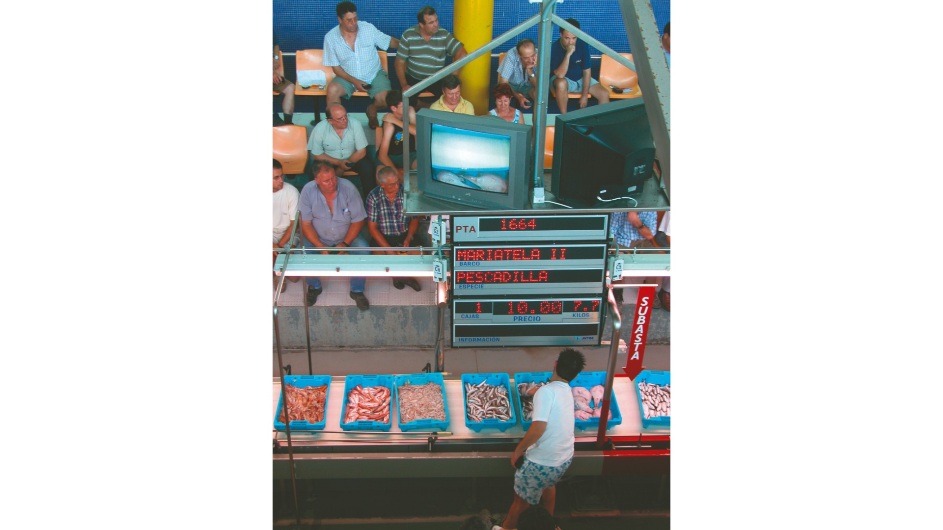 New Build - Apartment - Gran Alacant - Arenales del Sol