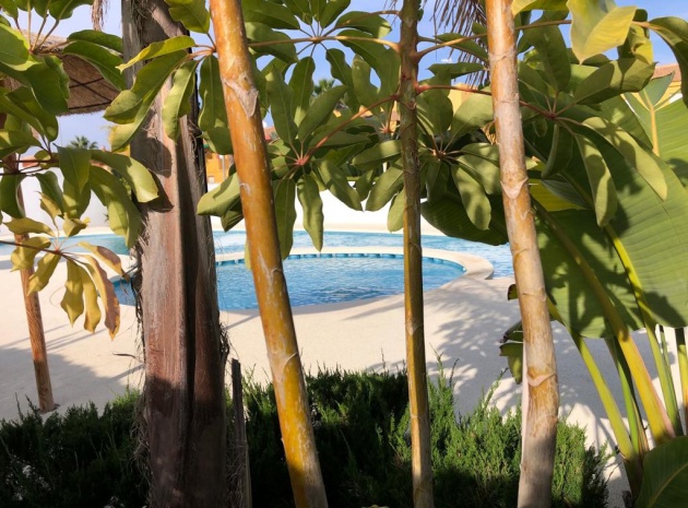 Nybyggnad - Villa - San Pedro del Pinatar