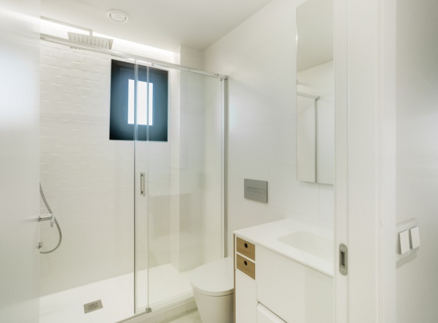 Nouvelle construction - Appartement - Mil Palmeras