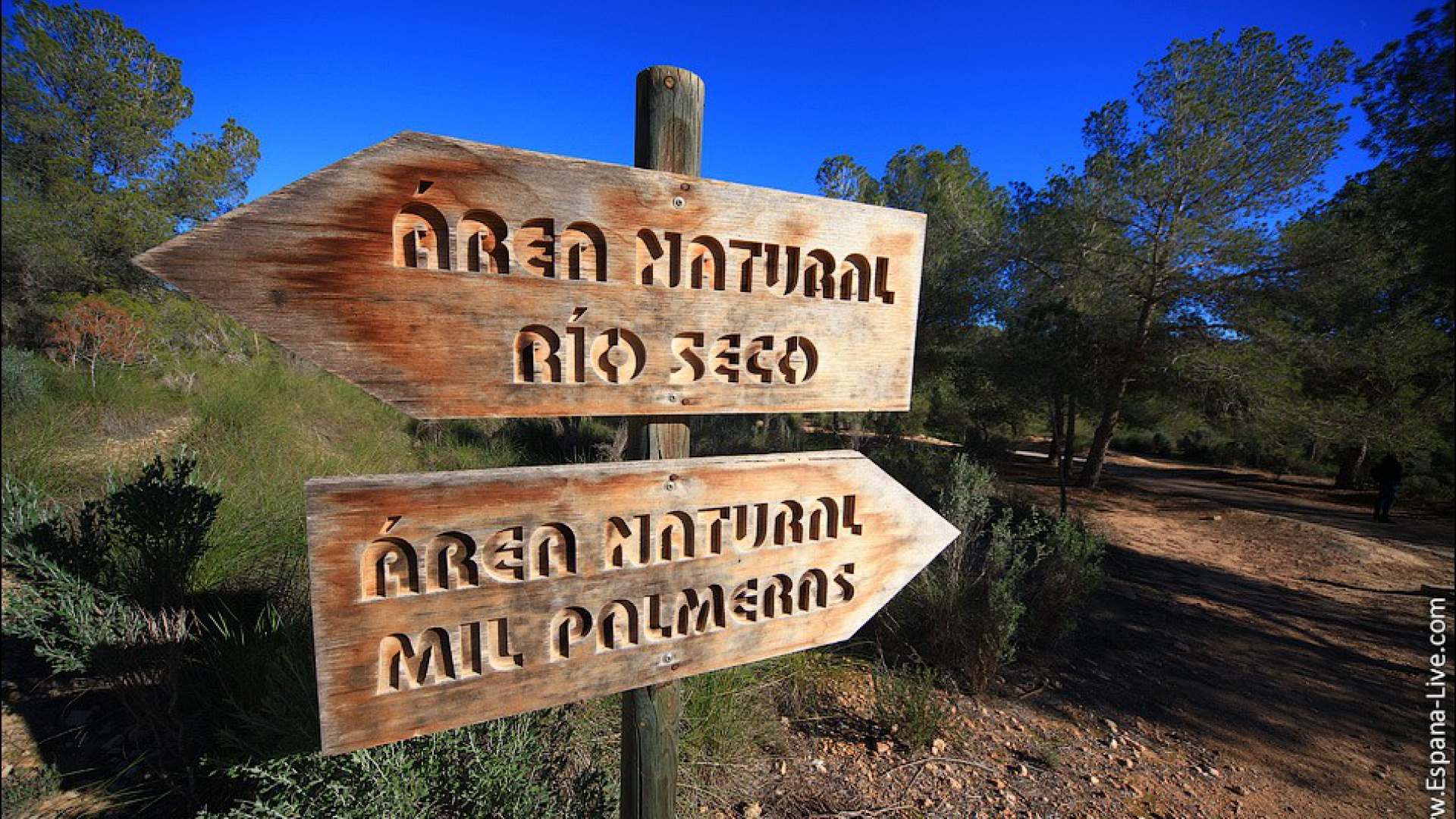 Nybyggnad - Villa - Pinar de Campoverde