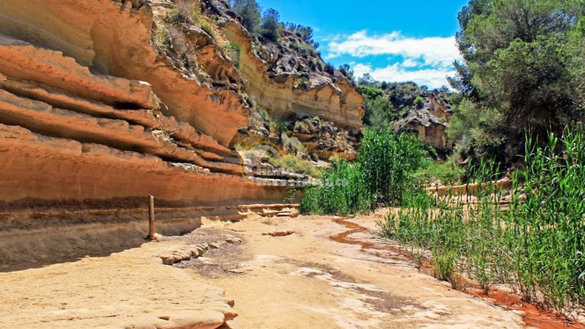 Nybyggnad - Villa - Pinar de Campoverde