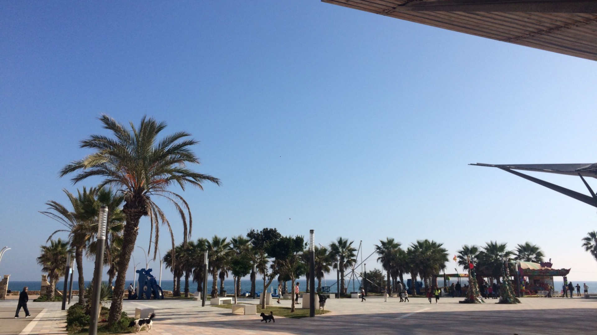 Nybyggnad - Lägenhet - Torrevieja - Los Balcones