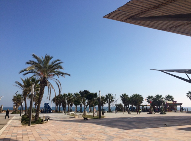 New Build - Villa - Los Montesinos - La Herrada