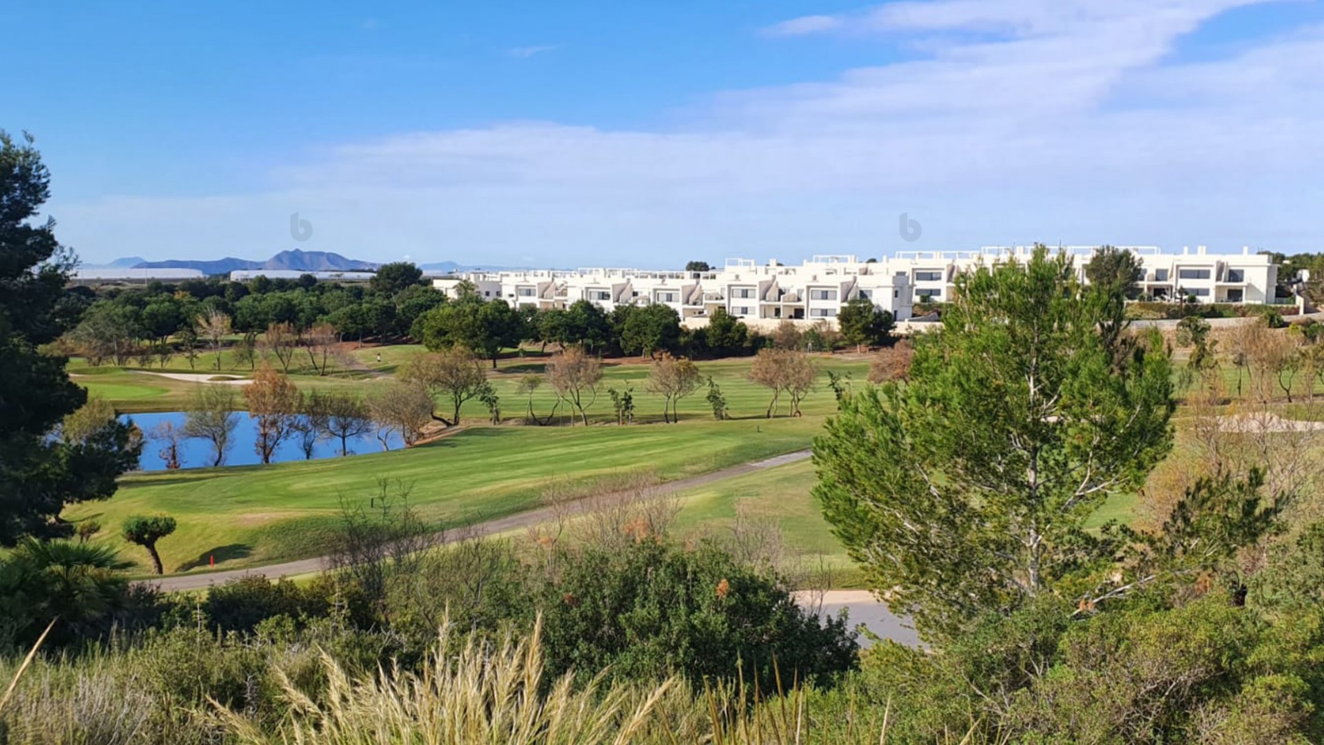 Neubau - Villa - Pilar de la Horadada - Lo Romero golf resort
