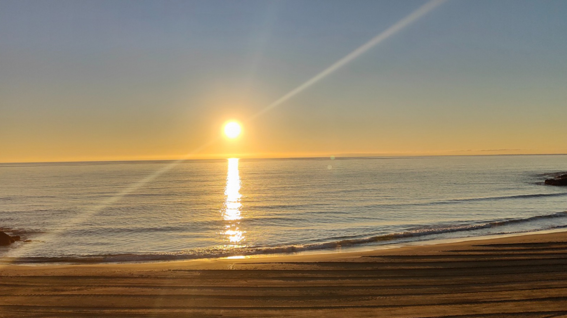 Neubau - Wohnung - Playa Flamenca - playa flamenca