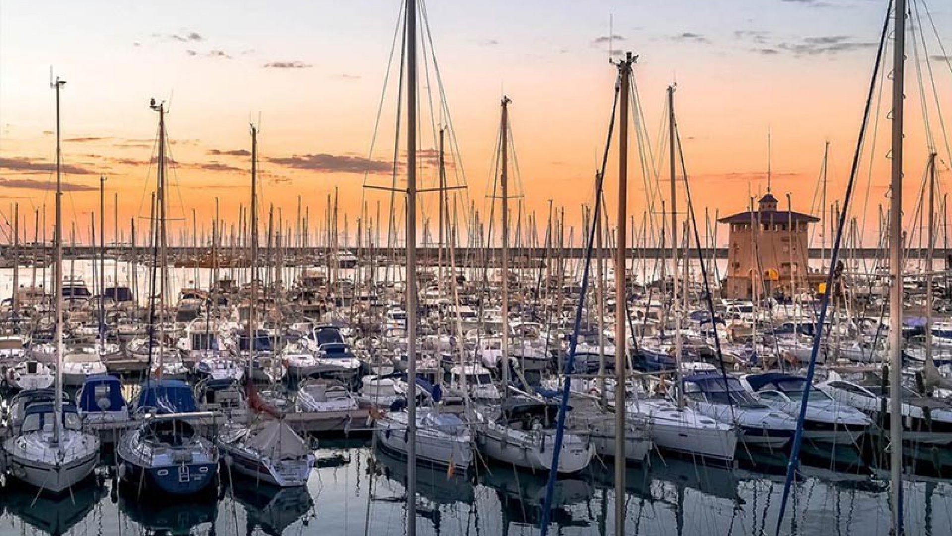 Nybyggnad - Lägenhet - Torrevieja