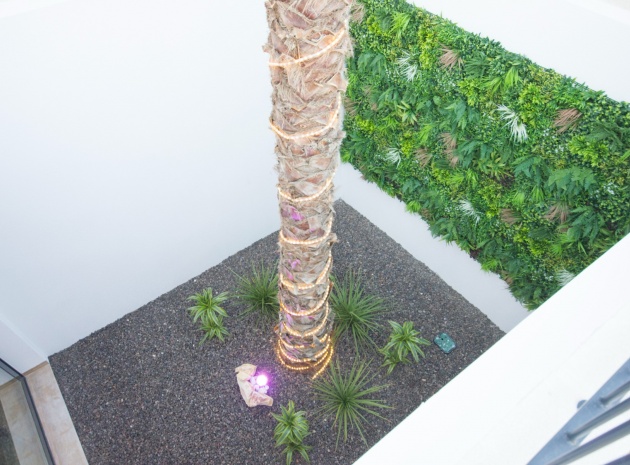 Neubau - Villa - Benijofar - Benimar