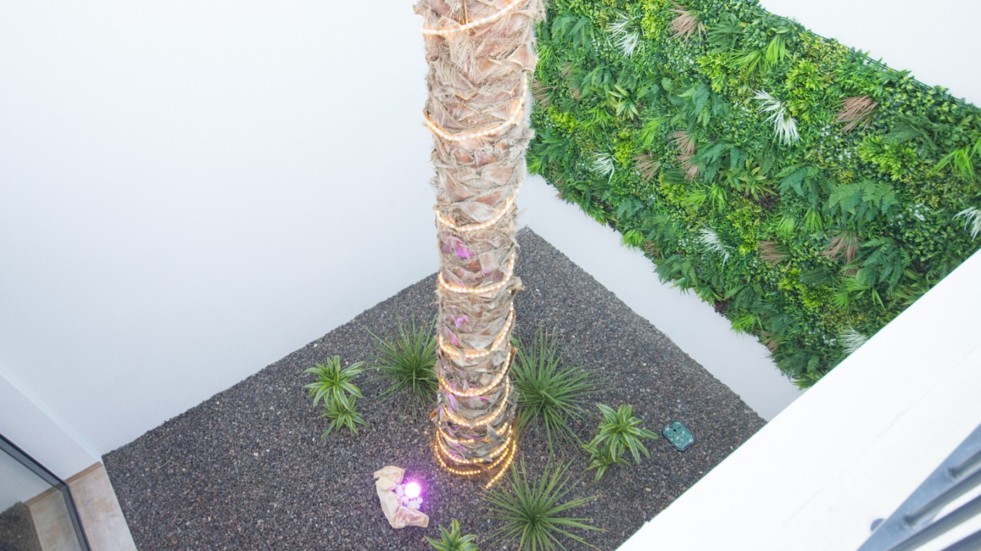 Neubau - Villa - Benijofar - Benimar