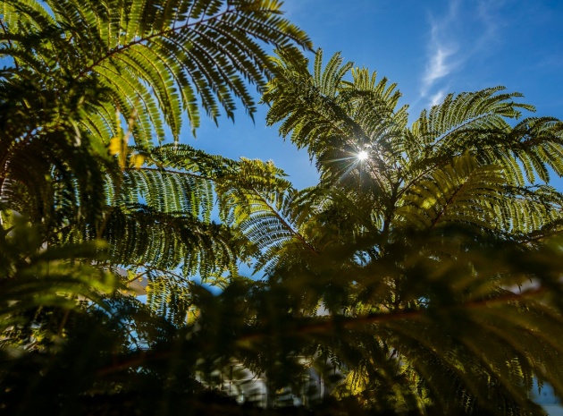 New Build - Apartment - San Miguel de Salinas - Vistabella golf resort