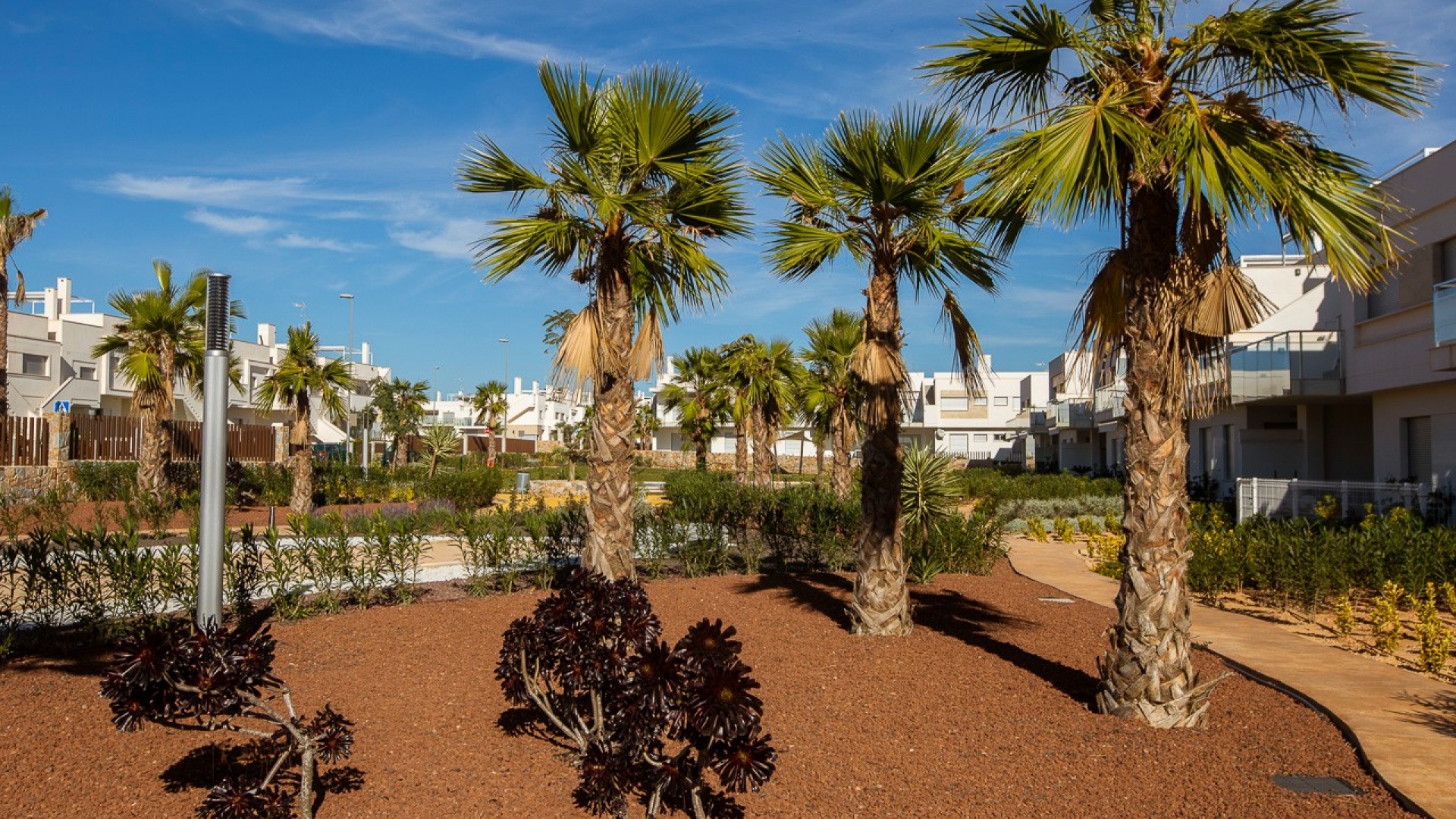 New Build - Apartment - San Miguel de Salinas - Vistabella golf resort