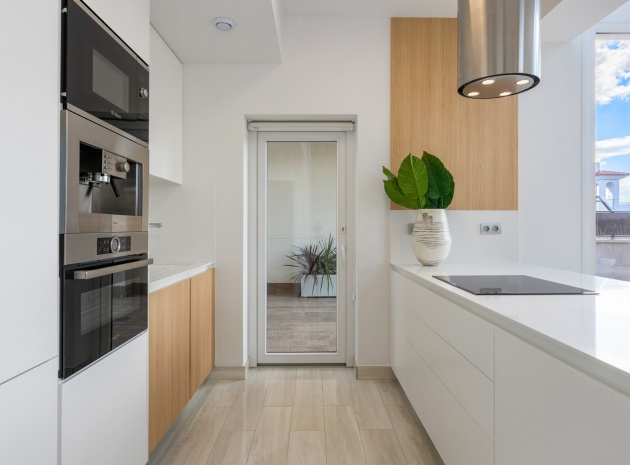 New Build - Villa - Los Montesinos - La Herrada